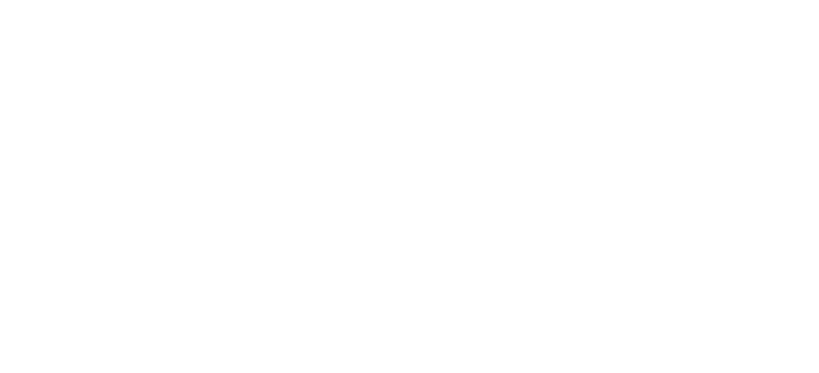 FIPAV